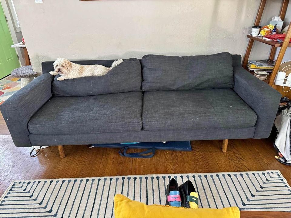 Free Great Condition Couch