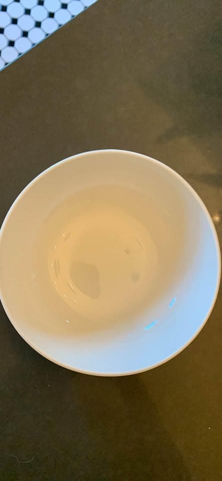 set of 4 west elm organic dinnerware bowls brand new nwt