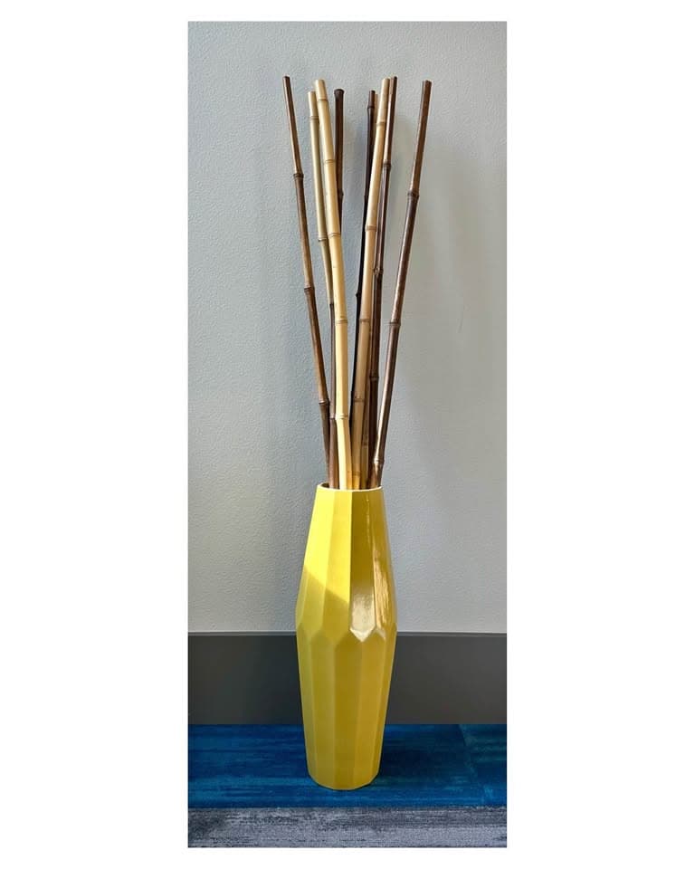 West Elm Porcelain Vase + 10 Natural bamboo Stakes